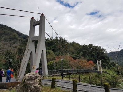 鳩之澤自然步道冬日限定之楓紅美景 